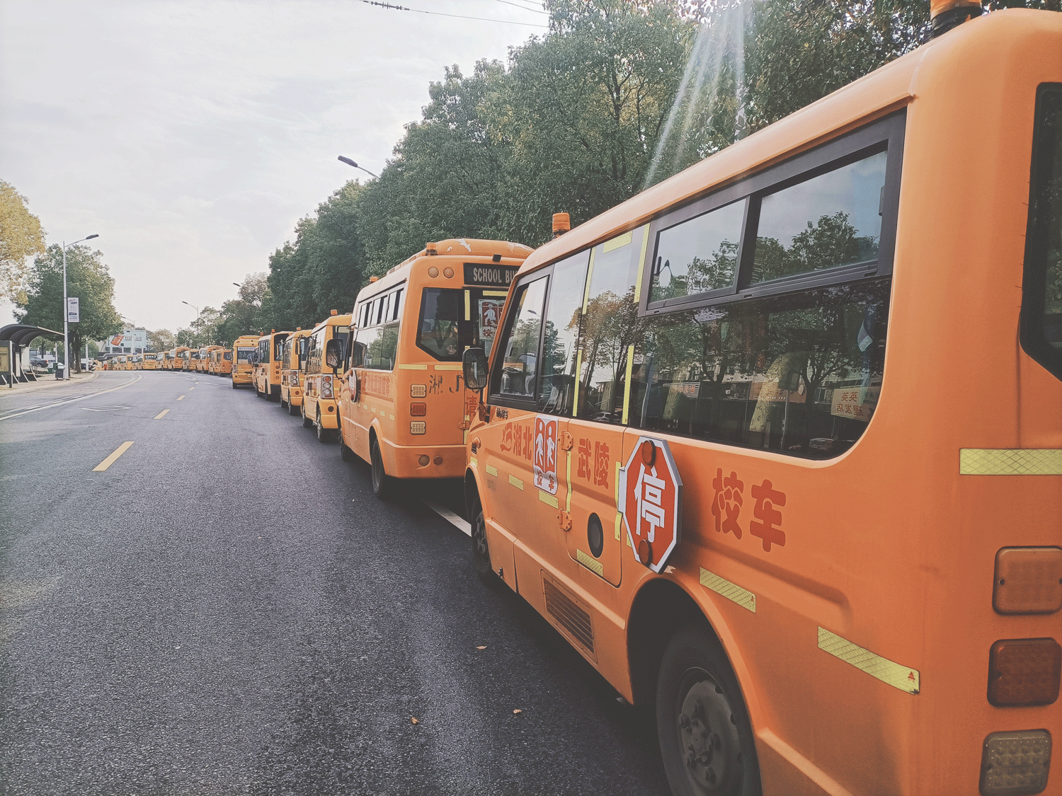 常德市湘北汽車運輸有限公司,常德包車客運,常德旅游服務(wù),校車服務(wù)